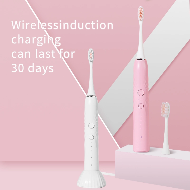 High Frequency Electric Rechargeable Silicone Teeth Whitening Toothbrush Fast and Cheap Wholesale/Supplier Adult Electric Toothbrush OEM