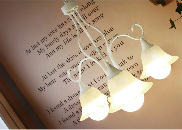 Wholesale/Supplier Interior Hanging Lamp Metal Light with Glass Shade