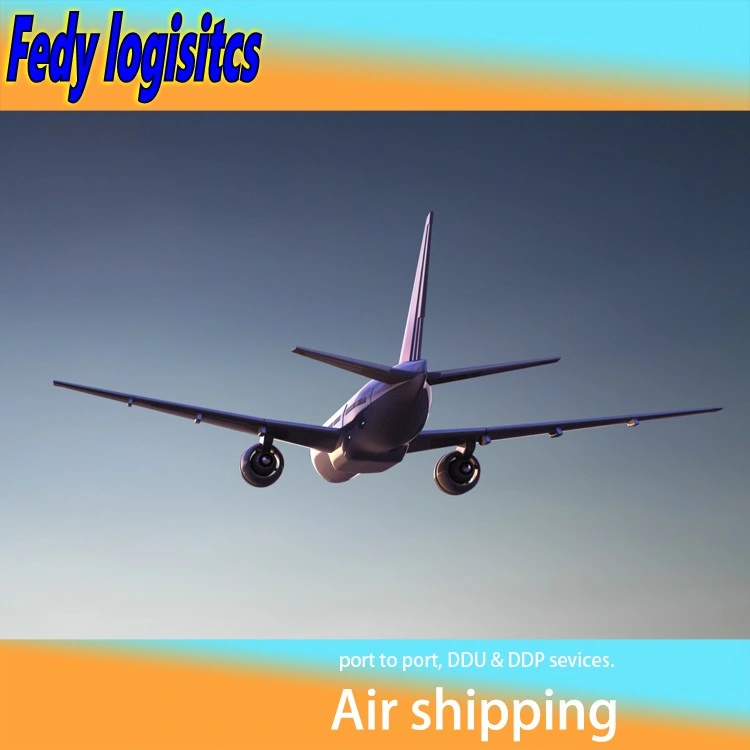 Agente profissional de despachante de cargas aéreas/expedição marítima Exporte DHL UPS FedEx TNT Aramex EMS Express Serviço de Shenzhen para Ilha Norfolk / New Zeland/Austrália