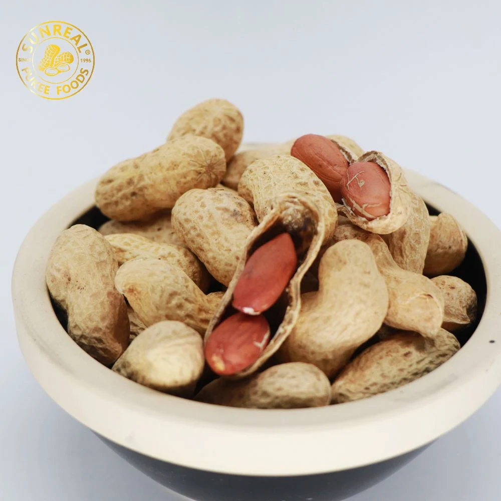 Raw Peanut Inshell /China /New Crop 13/15