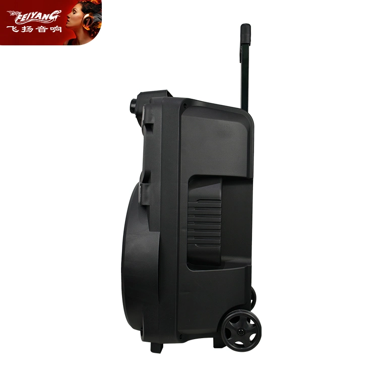 PA Bluetooth Disco Light Karaoke Jb Style Trolley Portable Mobile Outdoor 12 Inch Audio Loud Speaker