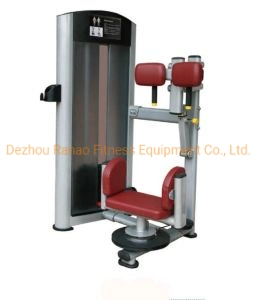 Home Gym Pin Loaded Exercise Lumbar Abdominal Strength Equipment Torso Rotation Sports Equipment for Fitness Machines
