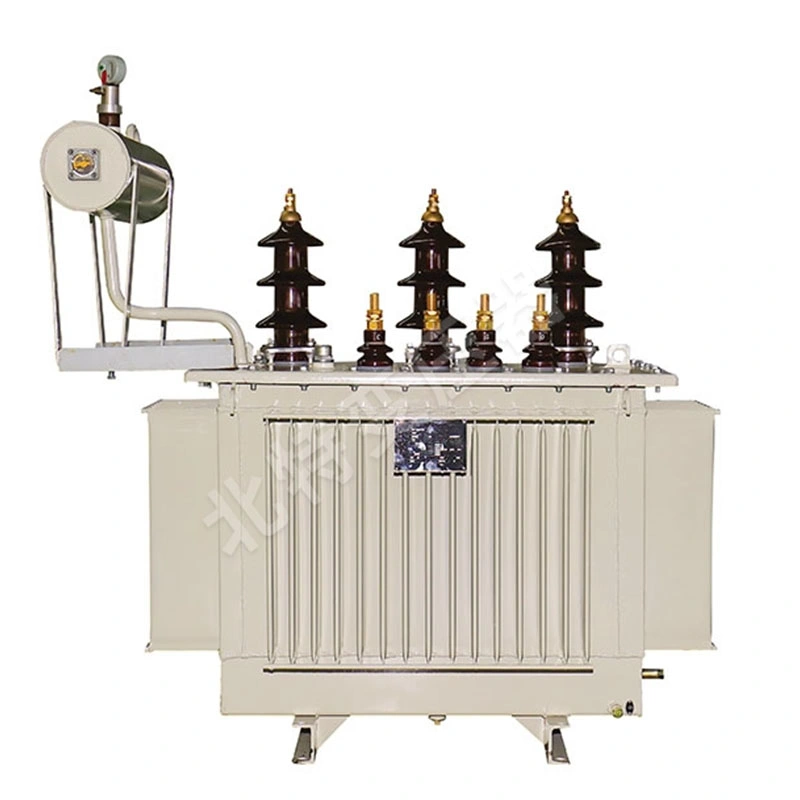 Distribution Oil-Immersed Transfoemer