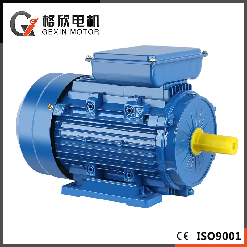 CE Approved Capacitor Start Single Phase Induction Motor AC Motor Electric Motor (YC YL MY ML)