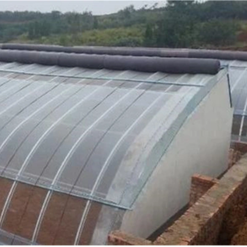 Fan Boiler Equipped Solar Greenhouse for Cherry/Tomato/Cucumber/Lettuce/Chili/Strawberry Cultivation