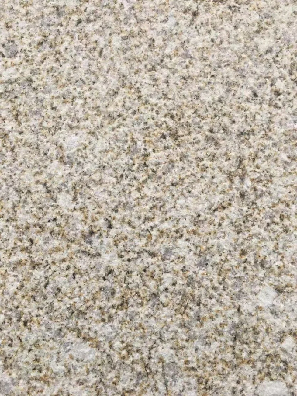 Gold Hemp Granite Marble Park Pavement Landscape Greening Construction Kitchen Floor Countertops