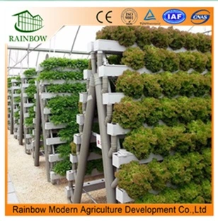 Modren Agriculture Greenhouse Hydroponics Growing System