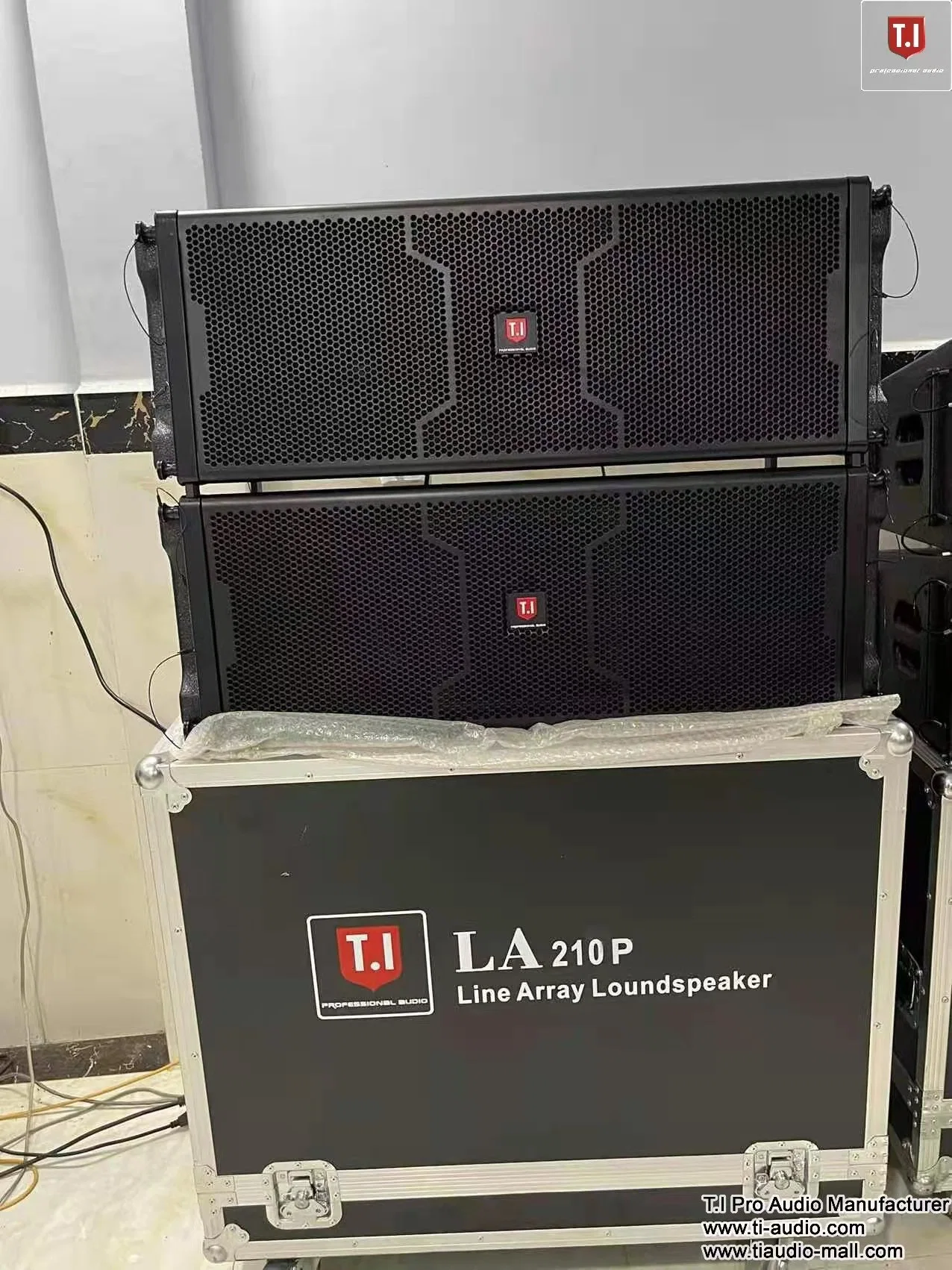 Professional Stage Speaker 10 Inch Line Array PRO Audio Sound Equipment