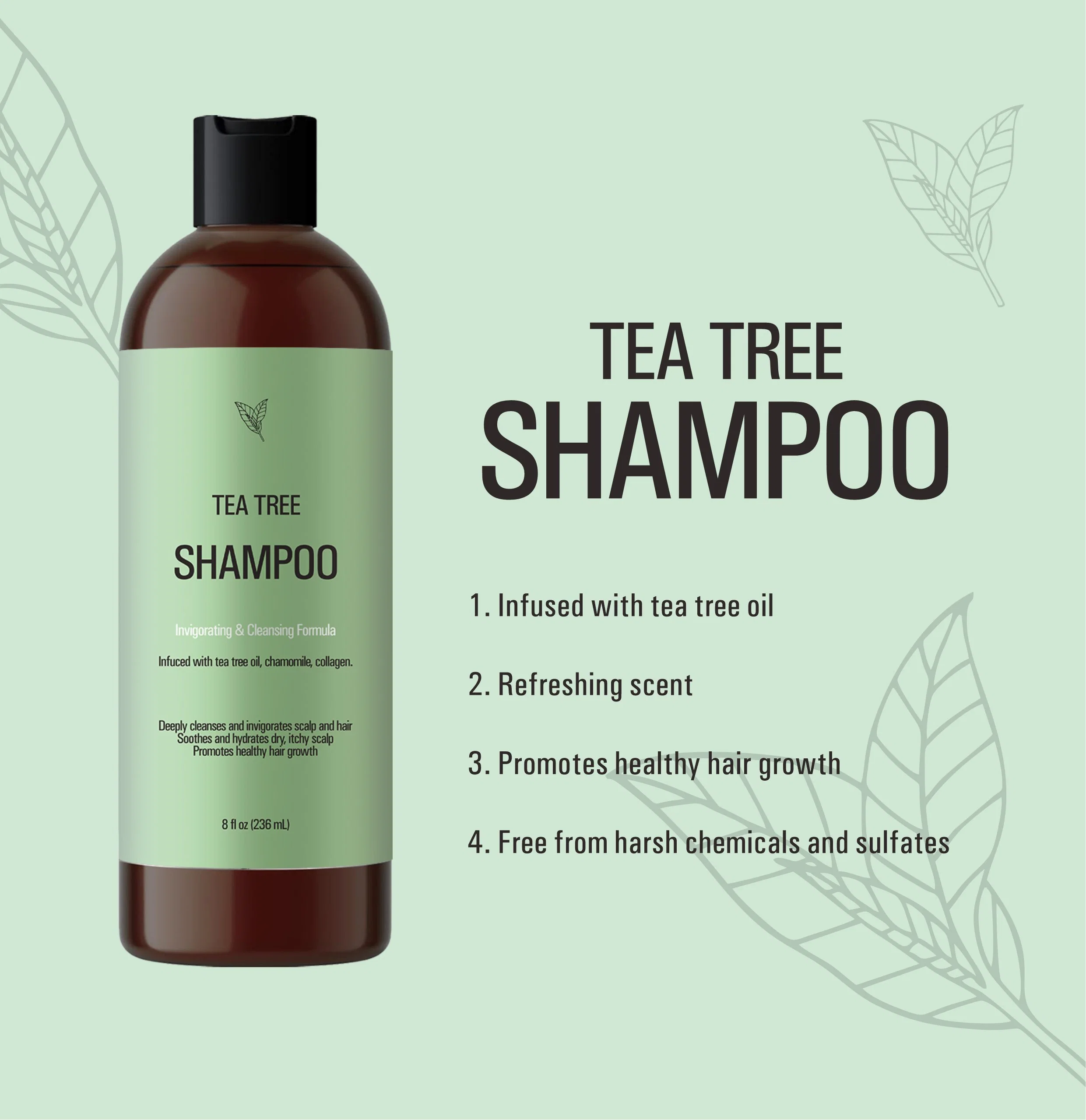 Großhandel/Lieferant OEM Natural Tea Tree Shampoo beruhigt und befeuchtet Haar Eigenmarke