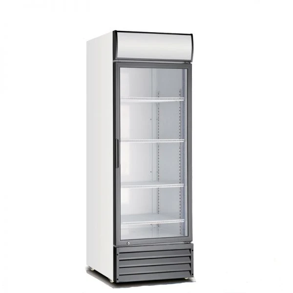 Hot Sale Restaurant Upright Showcase Cooler Cabinet for Fruit and Vegetable 388 Liters Single Door Upright Showcase, Upright Cooler, Glass Door Low Noise Fridge