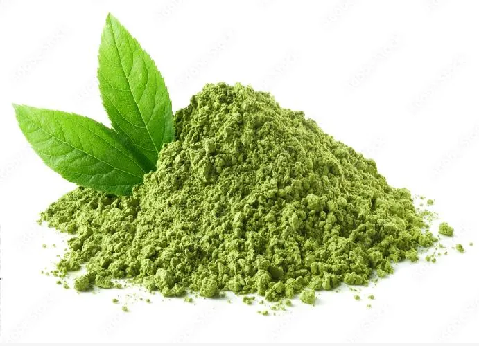 Fabricante de la salud de calidad ceremonial Matcha orgánico de té verde en polvo instantánea