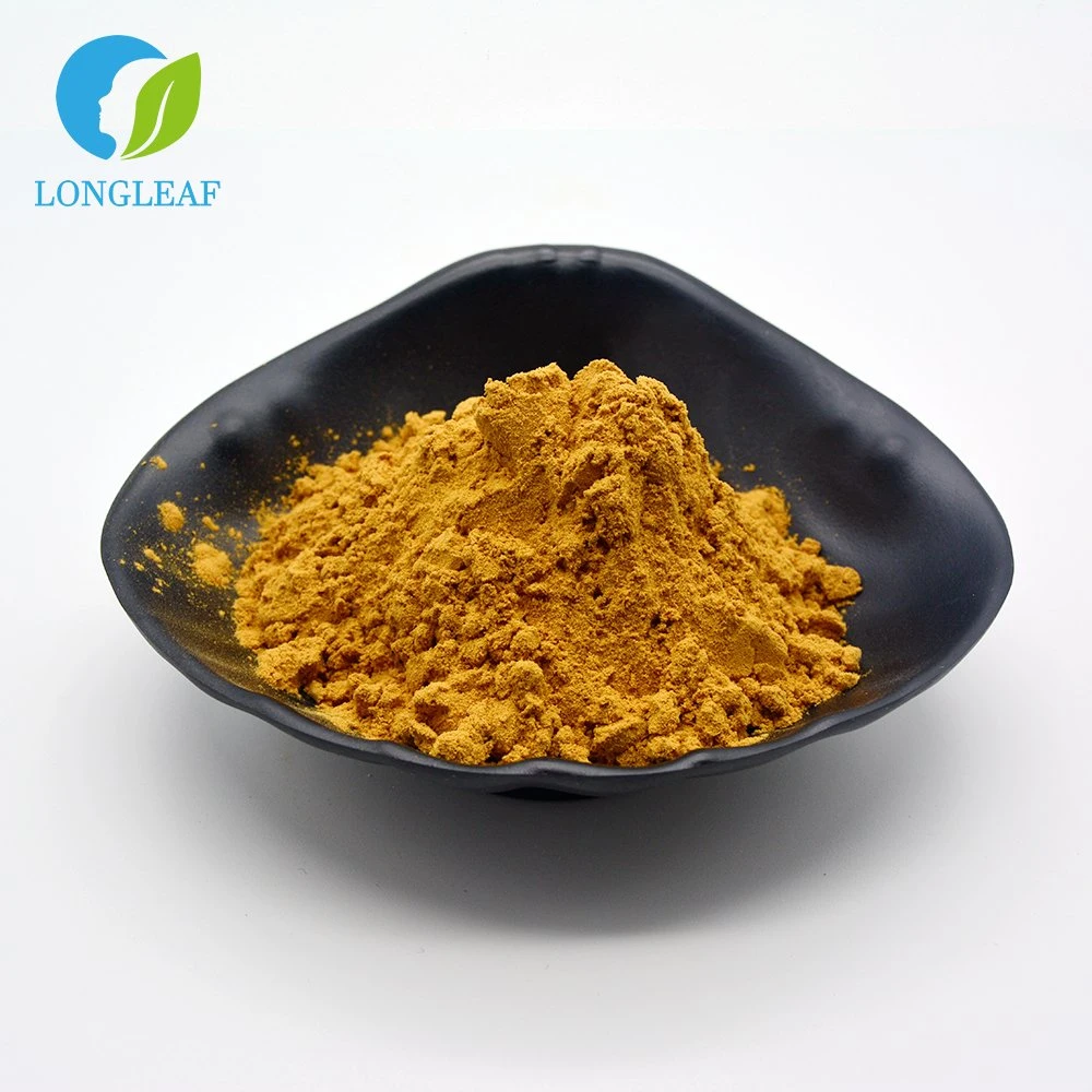 High quality/High cost performance Low Price Hot Sale Supply Quercetin Powder at Wholesale/Supplier