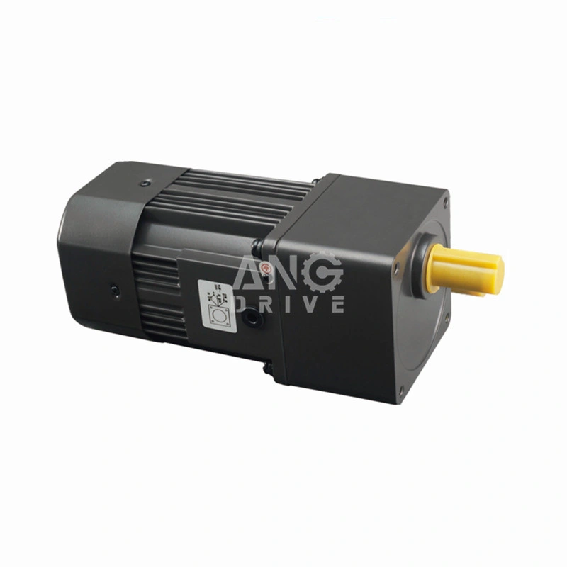 6W de alta calidad 10W 15W 25W 30W 40W 60W 90W 120W 250W 370W CA Control de velocidad de inducción eléctrica motorreductor