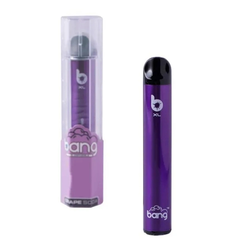 Hot Sales Bang XL Pre-Filled Disposable/Chargeable Vape E Cigarette with 500 Puffs