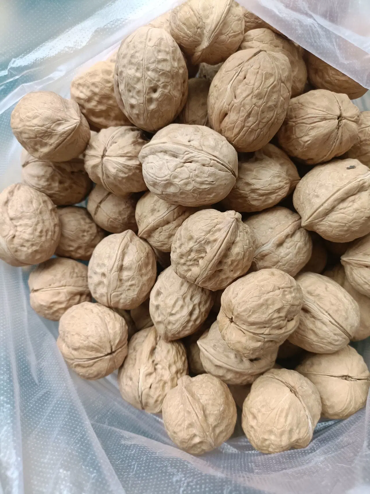 Xinjiang Thin-Skin Washed and Unwashed Xingfu Xinfeng 32mm Walnut in Shell