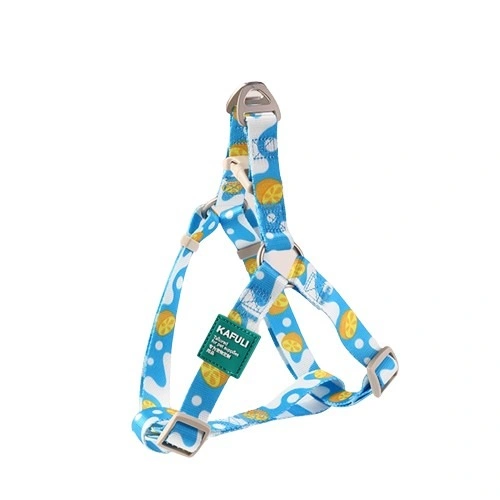 Starkes Polyester-Webing Langlebige Allround-Pflege Haustier Outdoor Leash Und Kabelbaum