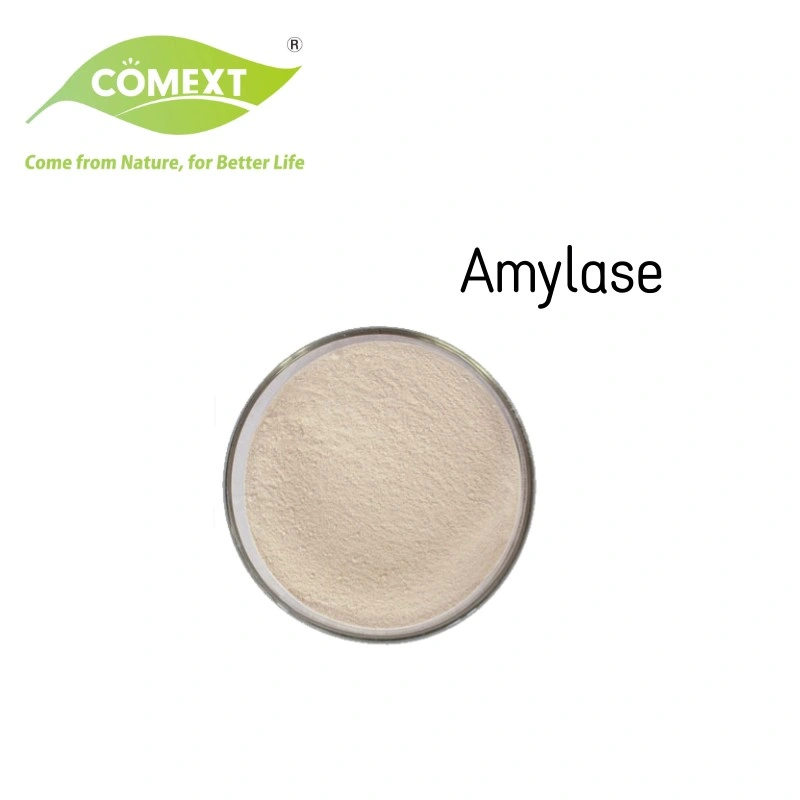 Comext Fungal Amylase Powder Food Grade Fungal Amylase for Bakery