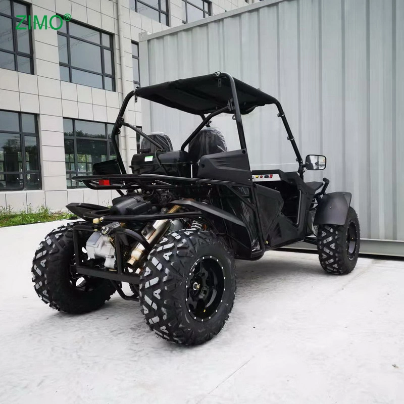 2023 Cheap 300cc Gas Off-Road Dune Buggy for Adults