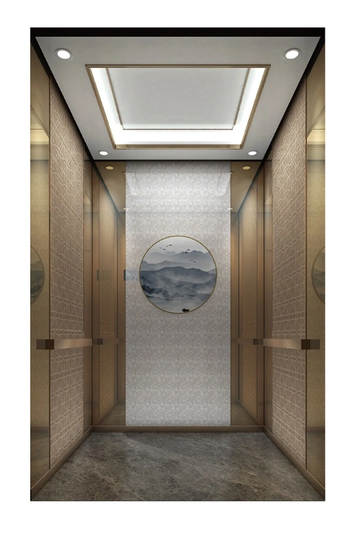 Passenger Home Lift Elevator Parts Ceiling China Supplier