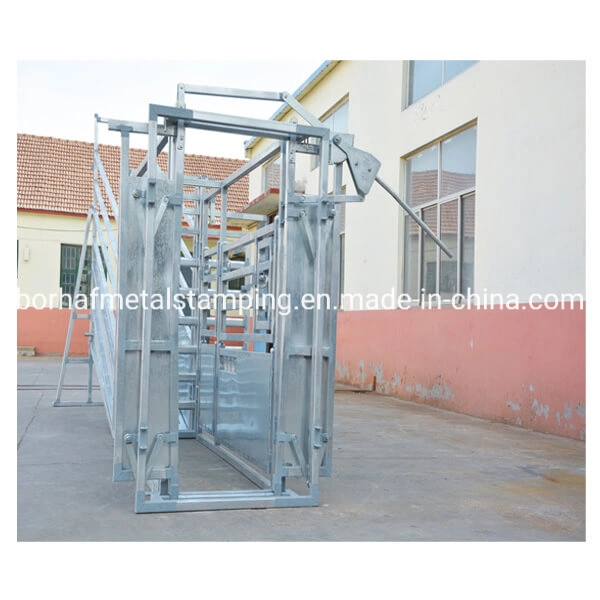 Australia Market Galvanized Cattle Panel Squeeze Crush Cattle Handling Equipment with Weighing Scale