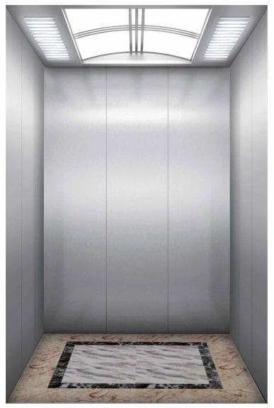 Passenger Home Lift Elevator Parts Ceiling China Supplier