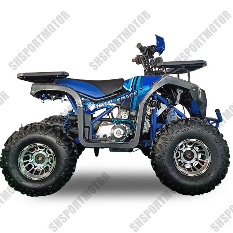 110cc 125cc ATV for Adults Motorcycle Quad UTV