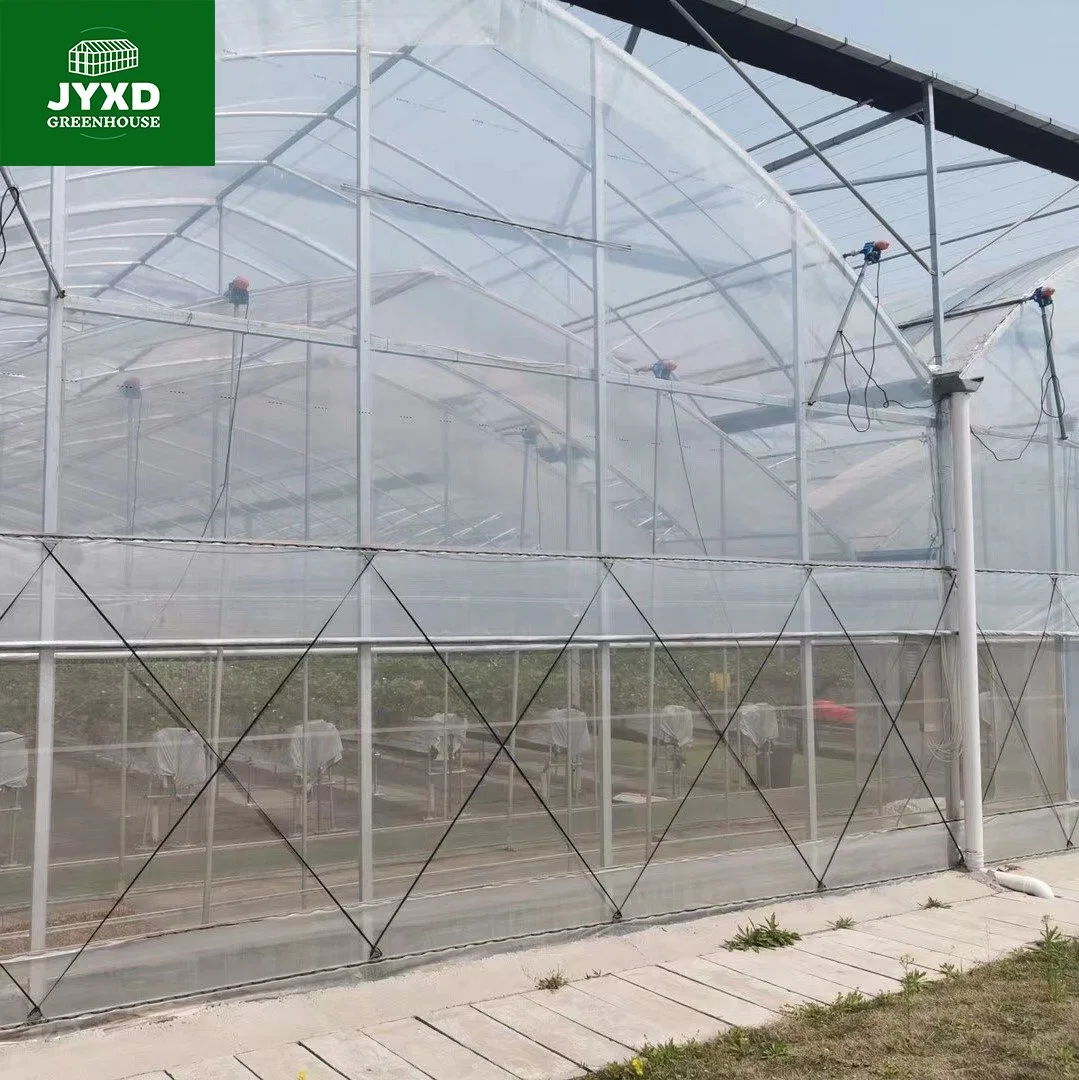 Modern Agriculture Plastic Film Multi-Span Greenhouse for Vegetables/Flowers/Tomato/Cucumber/Lettuce/Strawberry/Blueberry