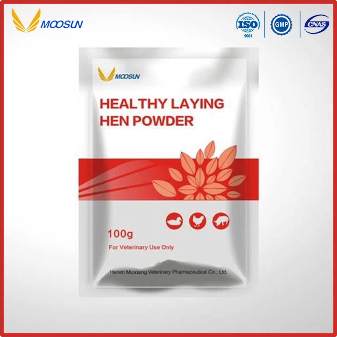 Chinese Manufacture Herbal Veterinary Medicine Anti Immunosuppression Powder for Animals Use with GMP ISO