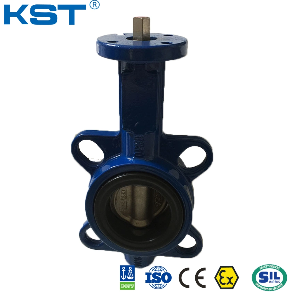 Gear Operate Pipe Line Butterfly Valve