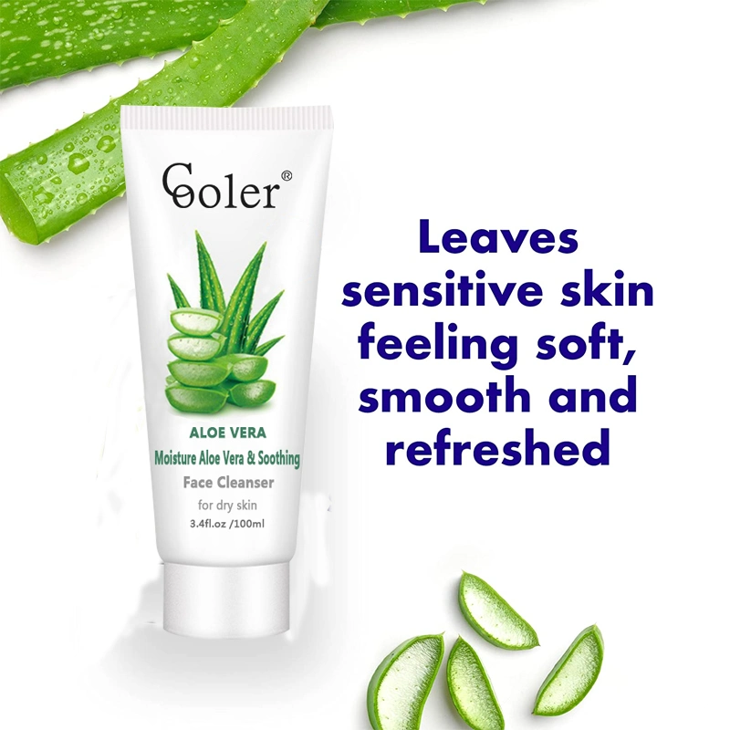 High Performance Acne Treatment Aloe Vera Soothes Irritation Cosmetics Factory Foaming Cleanser