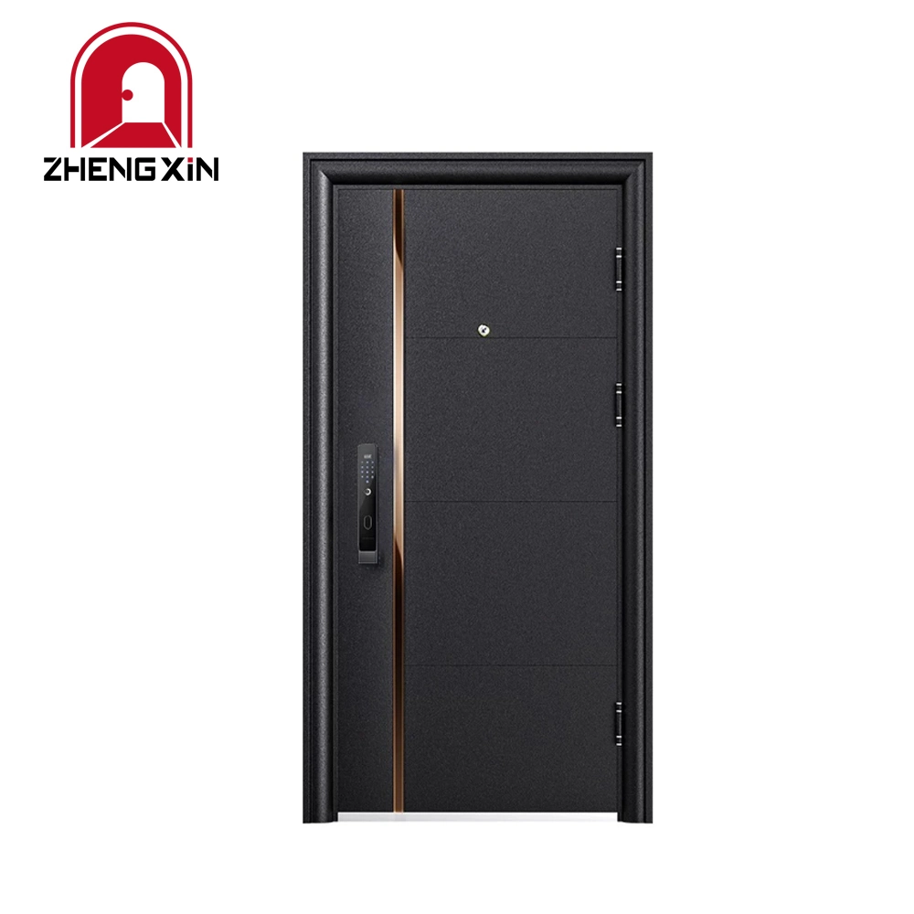 Black Color Power Coating Surface Steel Security Main Entrance Door