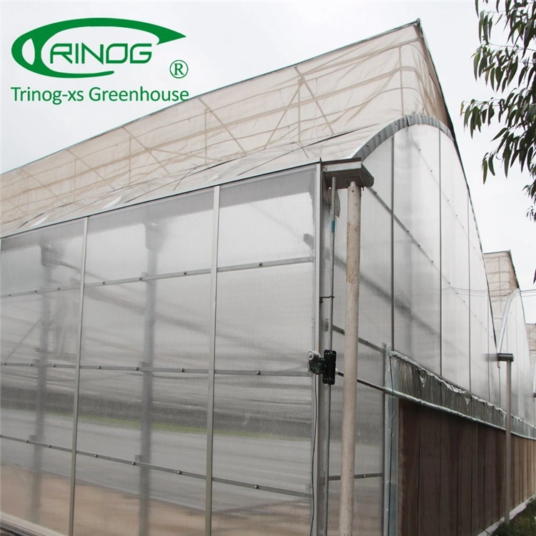 Low Price Agricultural Multi-span Film Greenhouse for Sale