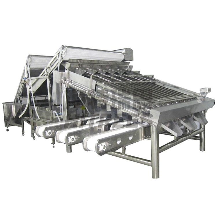 Automatic Shrimp Sorter Grader/Prawn Washing Sorting Machine/Shrimp Roller Grading Machine for Seafood Factory Using