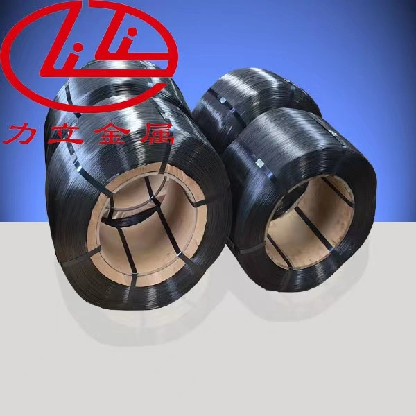 Cold Heading Steel Wire for Fastener (HD SAIP CHQ) Manufacturer