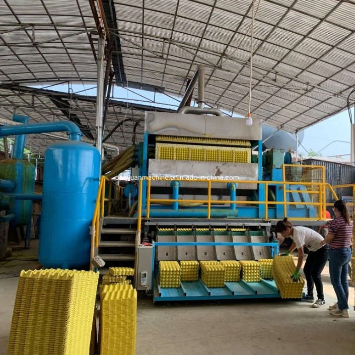 La máquina de pasta de papel automático de bandeja de huevos productos para la industria de embalaje