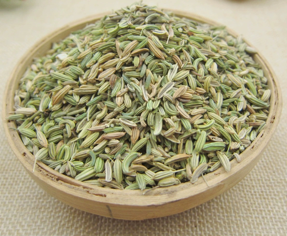 Fennel Fruit Herbal Plant Extract Prepared Traditional Chinese Herbal Medicine Warm Interior