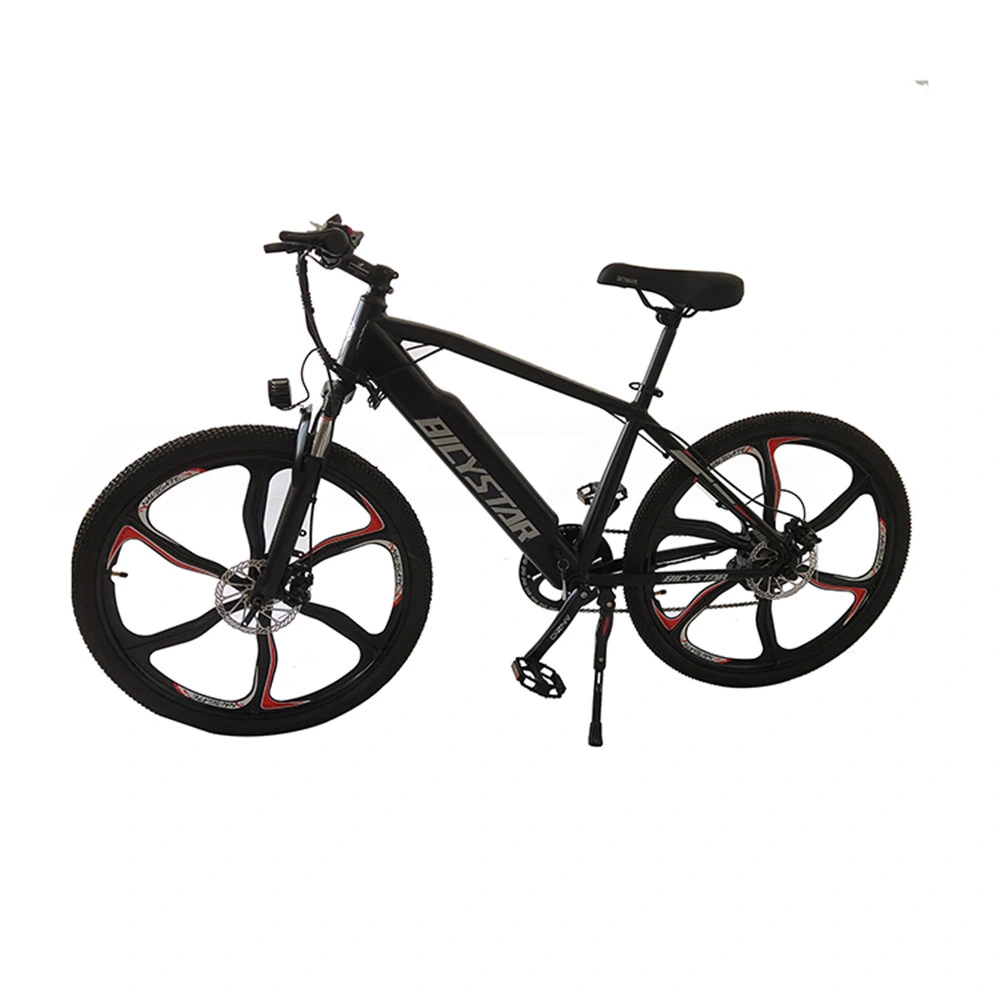 Folding Electric Bike 1000W for Adults for Sale in China Folding Bicycle Folding Bike Mountain Bike Mountain Bike for Sale