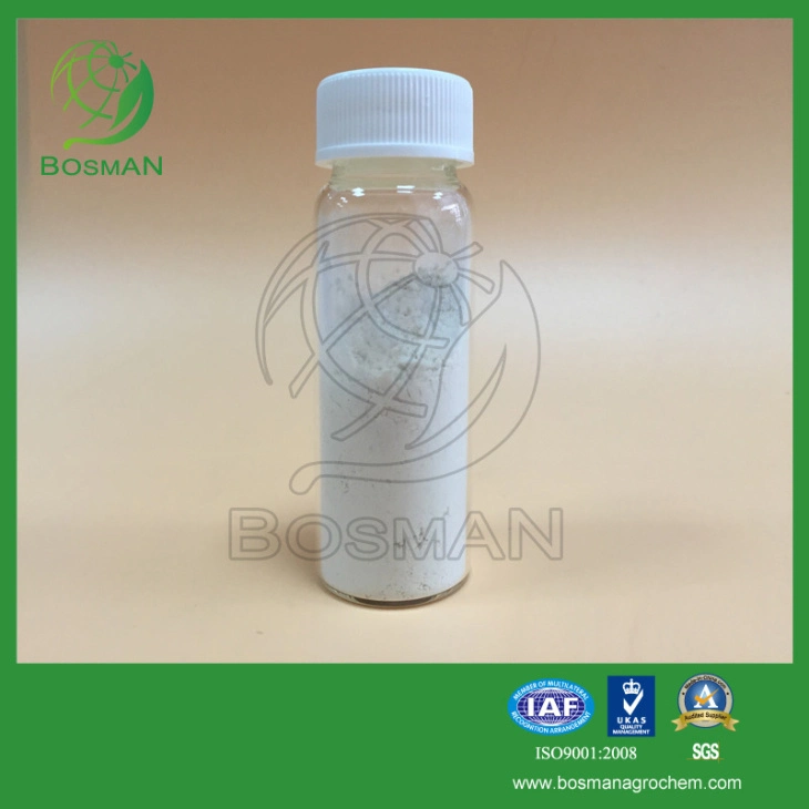 Agrochemicals Insecticide Bifenthrin 98% TC 25g/L EC Acaricide