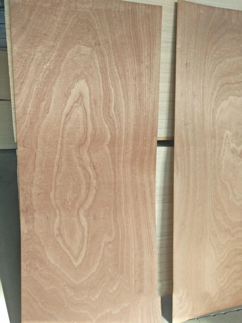 2.7mm 3.0mm Sapele Okoume Bintangor Plain Plywood Door Skin