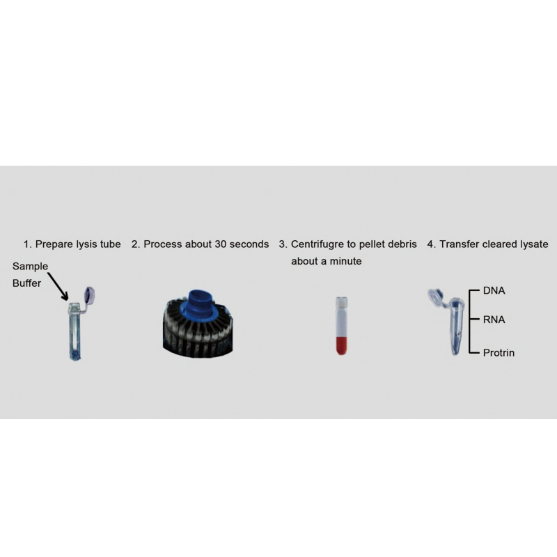 Biobase Homogenizer for Laboratory Machine