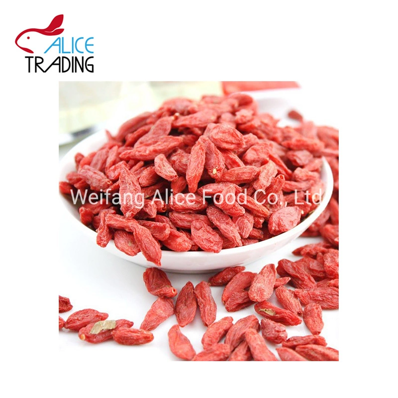 Ningxia Bulk Konserved Bio Getrocknete Gesunde Lebensmittel Trockene Gogyberry Trocken Goji