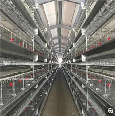 Long Term Use of Low Cost Galvanized Stainless Steel Chicken Farm