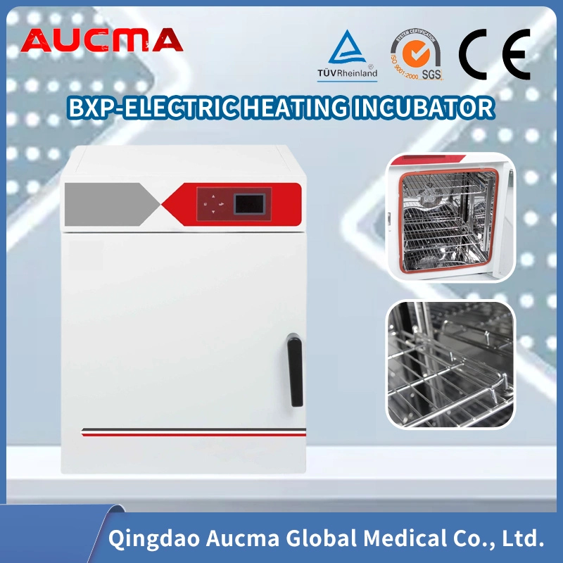 Electric Constant Temperature Incubator Best Selling Lab Instrument Lab Equipment Thermostat