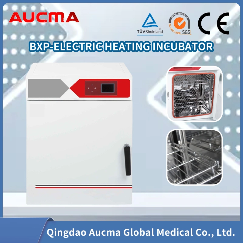 Incubadora de temperatura constante eléctrica Equipo de laboratorio de instrumentos de laboratorio de mejor venta Termostato