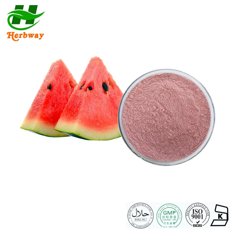 Herbway Kosher Halal Fssc HACCP Certified Watermelon Juice Powder Watermelon Fruit Powder