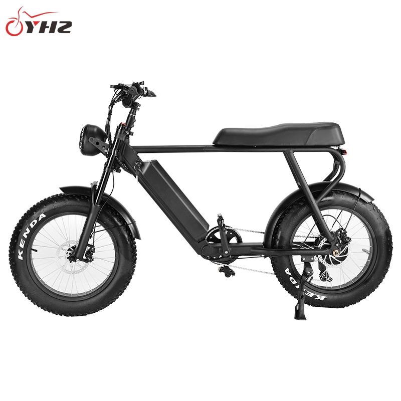 متوفر من ستوك في الولايات المتحدة الأمريكية 500W48V15ah Lithium Battery الكهربائية دراجة الدراجة