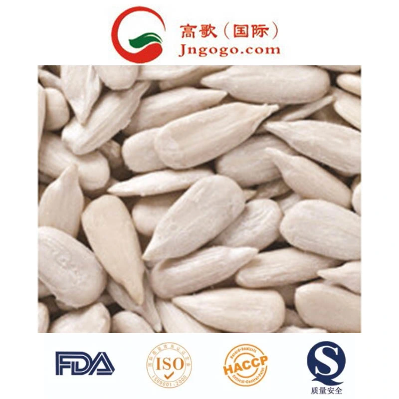 New Crop High quality/High cost performance  Sunflower Seeds 361/363/601