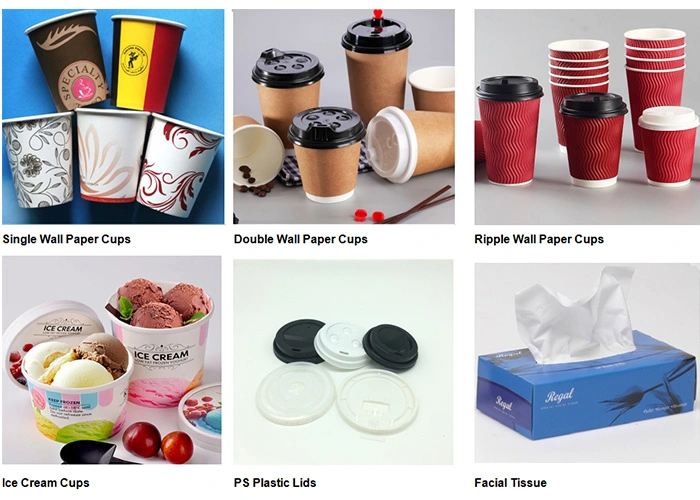 Disposable Cold Drink Coffee Cups Paper Cups with Lid