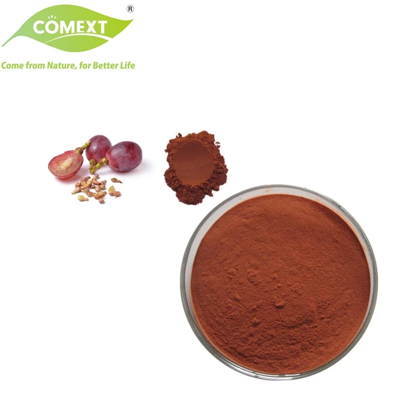 Comext Factory Vitis Vinifera 95% Proanthocyanidine Traubenkernextrakt für Anti-Aging