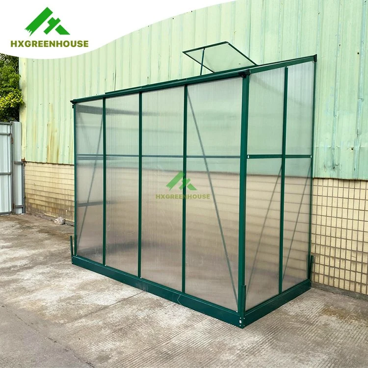 Bigger Size Polycarbonate Greenhouse Widely Used Vegetables Seeds Planting Hx65128